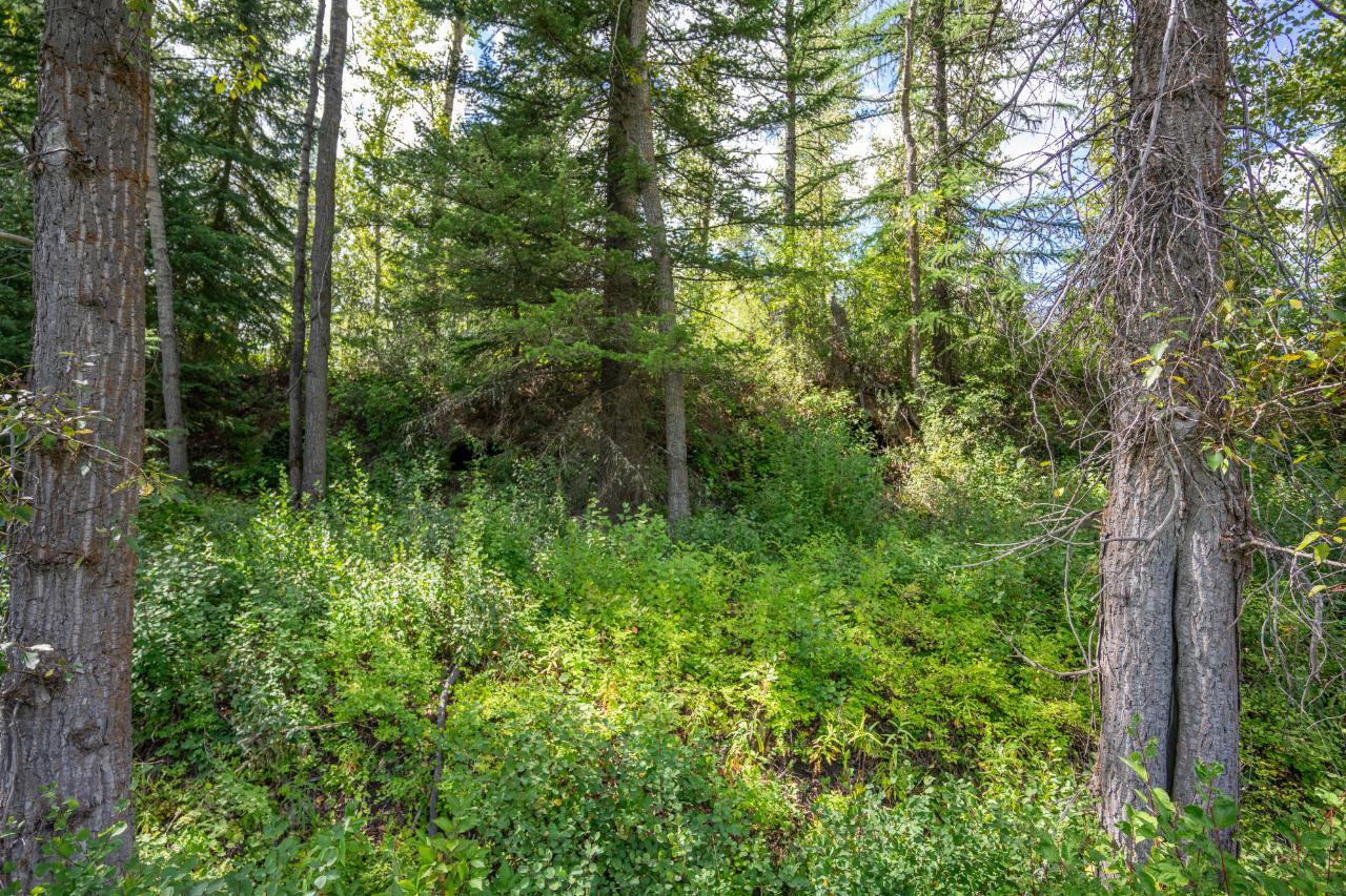 Lot 7 Stephenson Road, Hosmer, British Columbia  V0B 1M5 - Photo 21 - 2477959