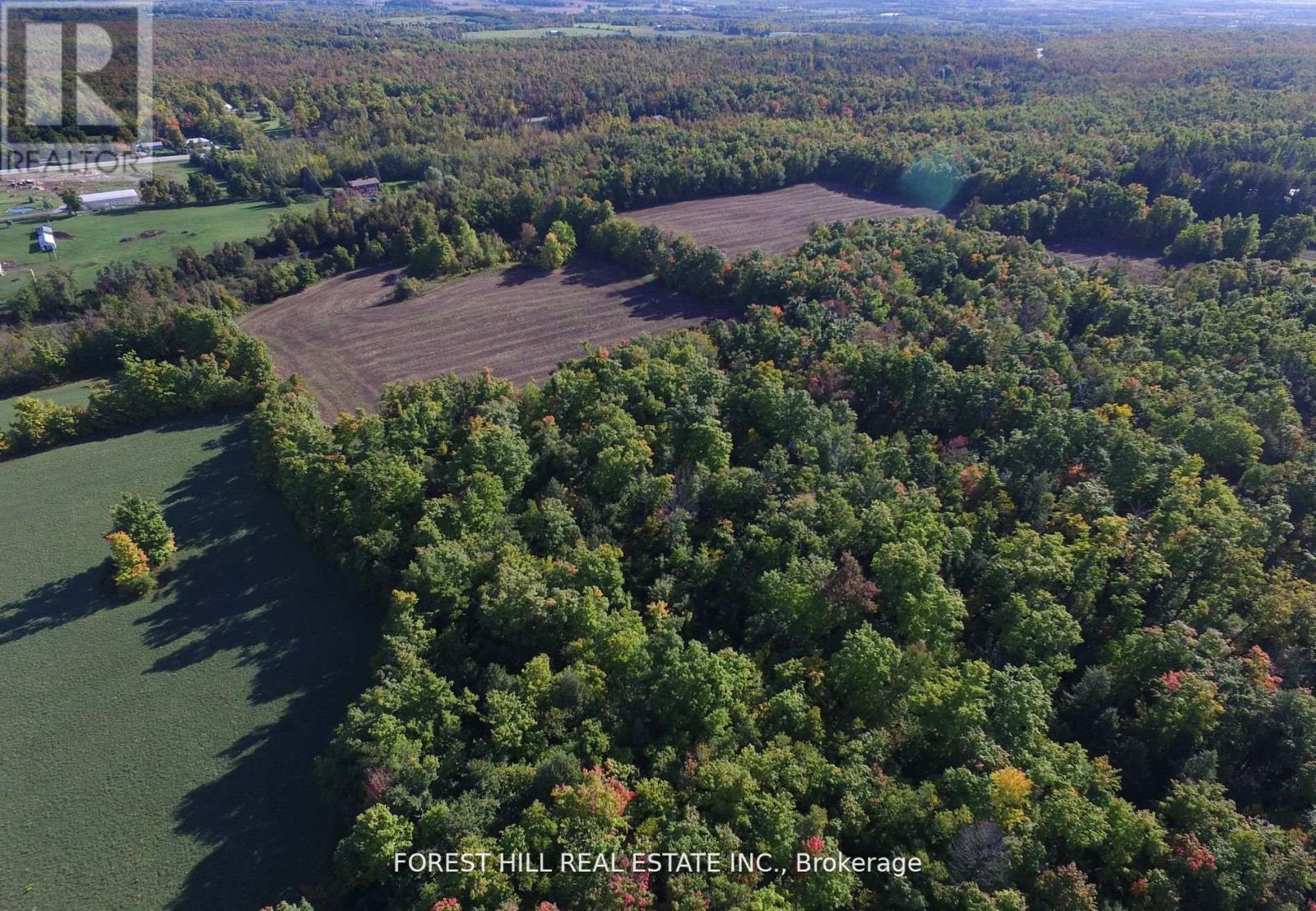 7406 17 Side Road, Halton Hills (Acton), Ontario  L7J 2M1 - Photo 9 - W8366746