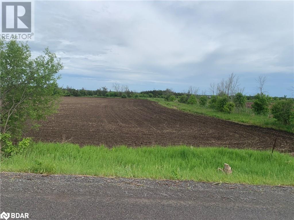 208 Drive In Road, Napanee, Ontario  K7R 3L1 - Photo 3 - 40595446