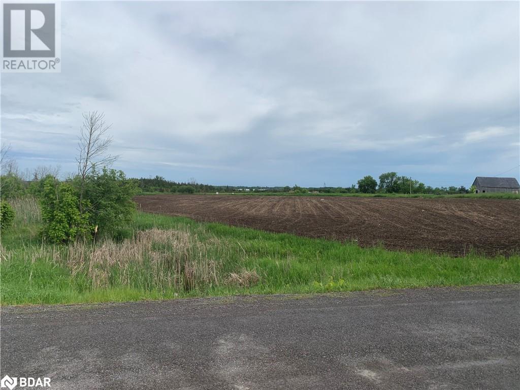 208 Drive In Road, Napanee, Ontario  K7R 3L1 - Photo 4 - 40595446