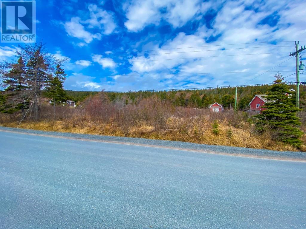 112 Valley Road, Carbonear, Newfoundland & Labrador A1Y 1A7 (27086681) Clarke Real Estate St