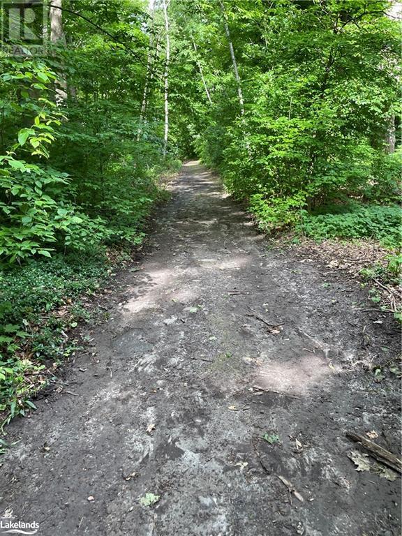 26 Glen Cedar Drive, Tiny, Ontario  L9M 0H8 - Photo 5 - 40594716