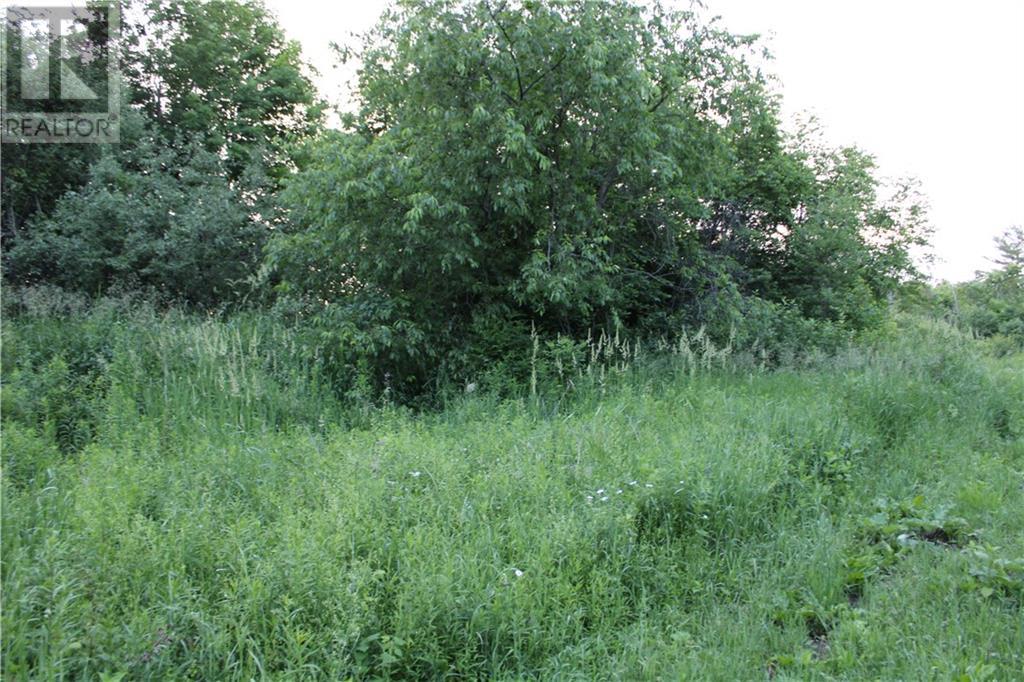 133 Webster Road, Lyndhurst, Ontario  K0E 1N0 - Photo 20 - 1396535