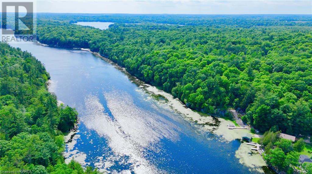 1050 Lodge Lane, Lyndhurst, Ontario  K0E 1N0 - Photo 12 - 40611471