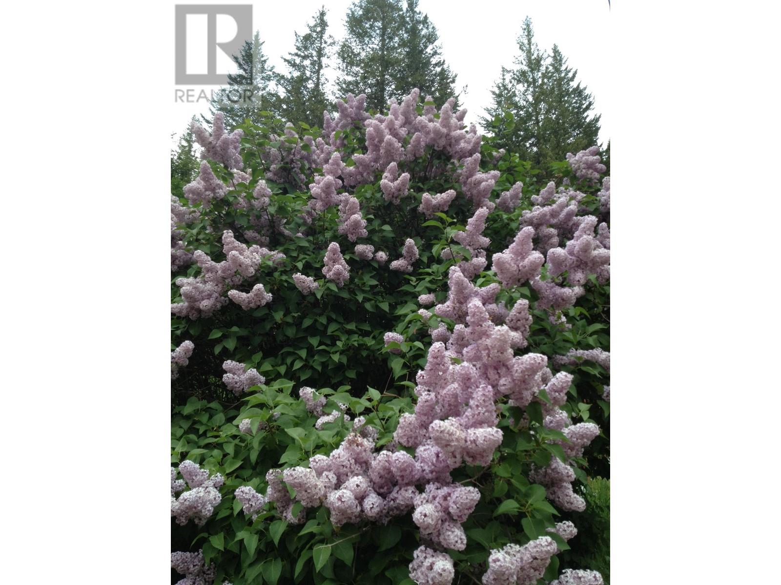 4000 Mountain View Road, Mcbride, British Columbia  V0J 2E0 - Photo 30 - R2898882