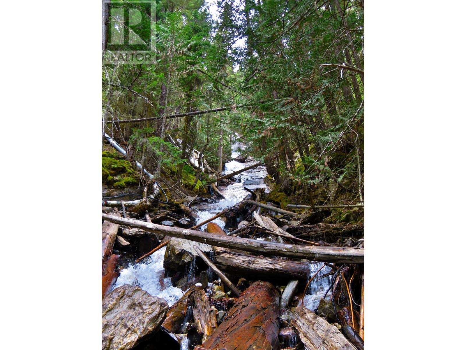 4000 Mountain View Road, Mcbride, British Columbia  V0J 2E0 - Photo 34 - R2898882