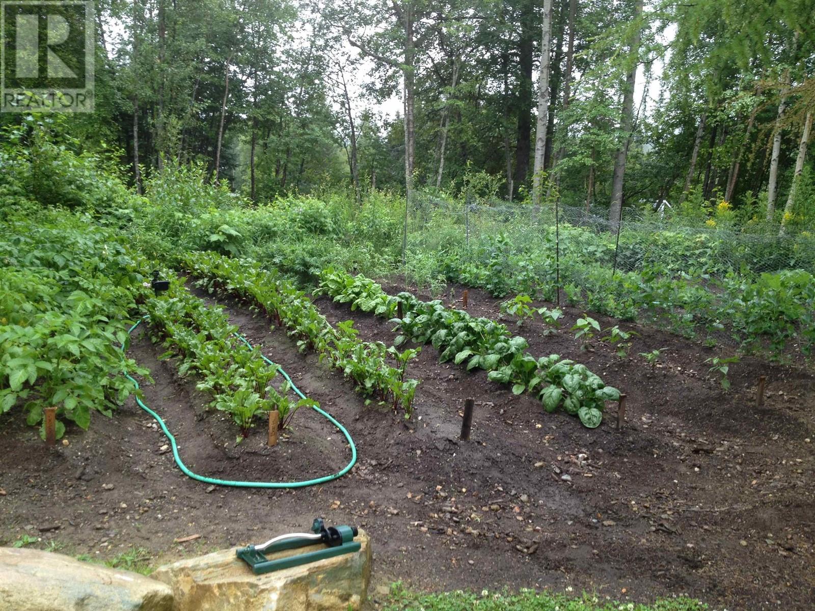 4000 Mountain View Road, Mcbride, British Columbia  V0J 2E0 - Photo 32 - R2898882