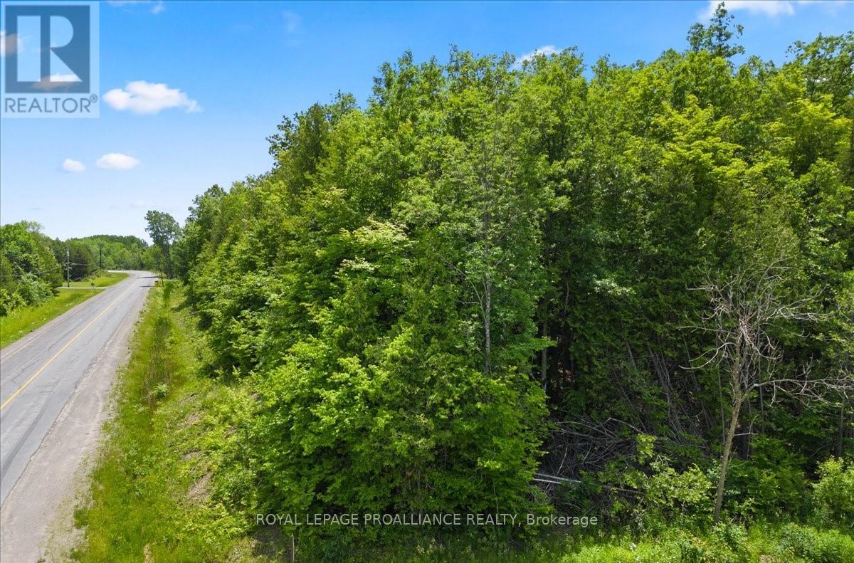 0 Marlbank Rd, Tweed, Ontario  K0K 3J0 - Photo 2 - X8477002