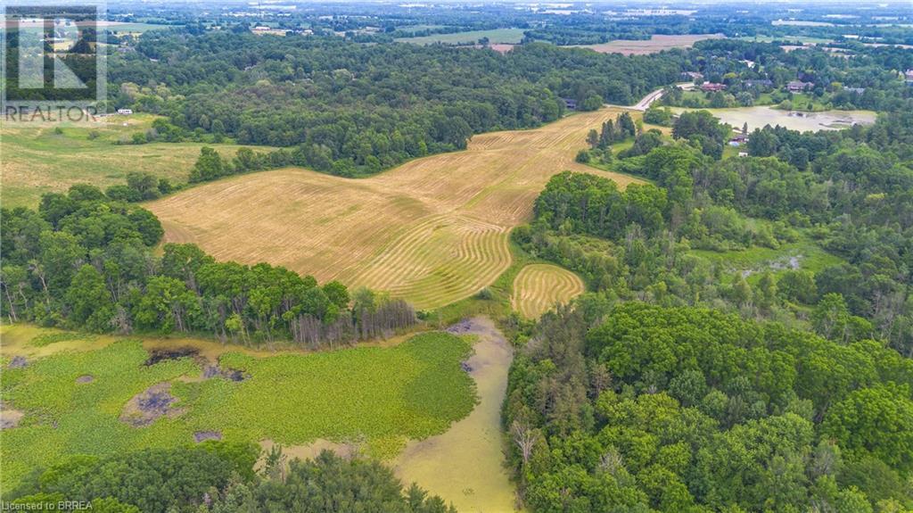 373 Scenic Drive, South Dumfries, Ontario  N0E 1N0 - Photo 47 - 40600630