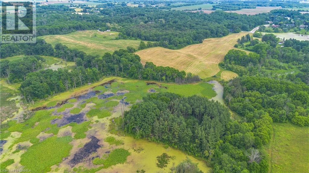 373 Scenic Drive, South Dumfries, Ontario  N0E 1N0 - Photo 48 - 40600630