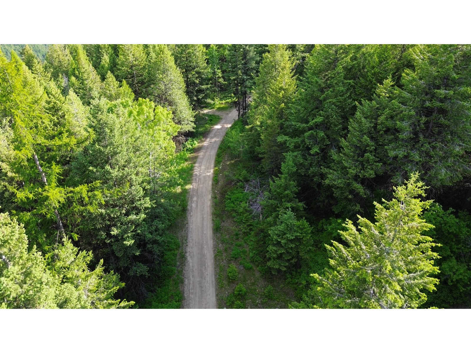 Lot 1827S MORRISSEY CREEK RD, grand forks, British Columbia V0H1H0