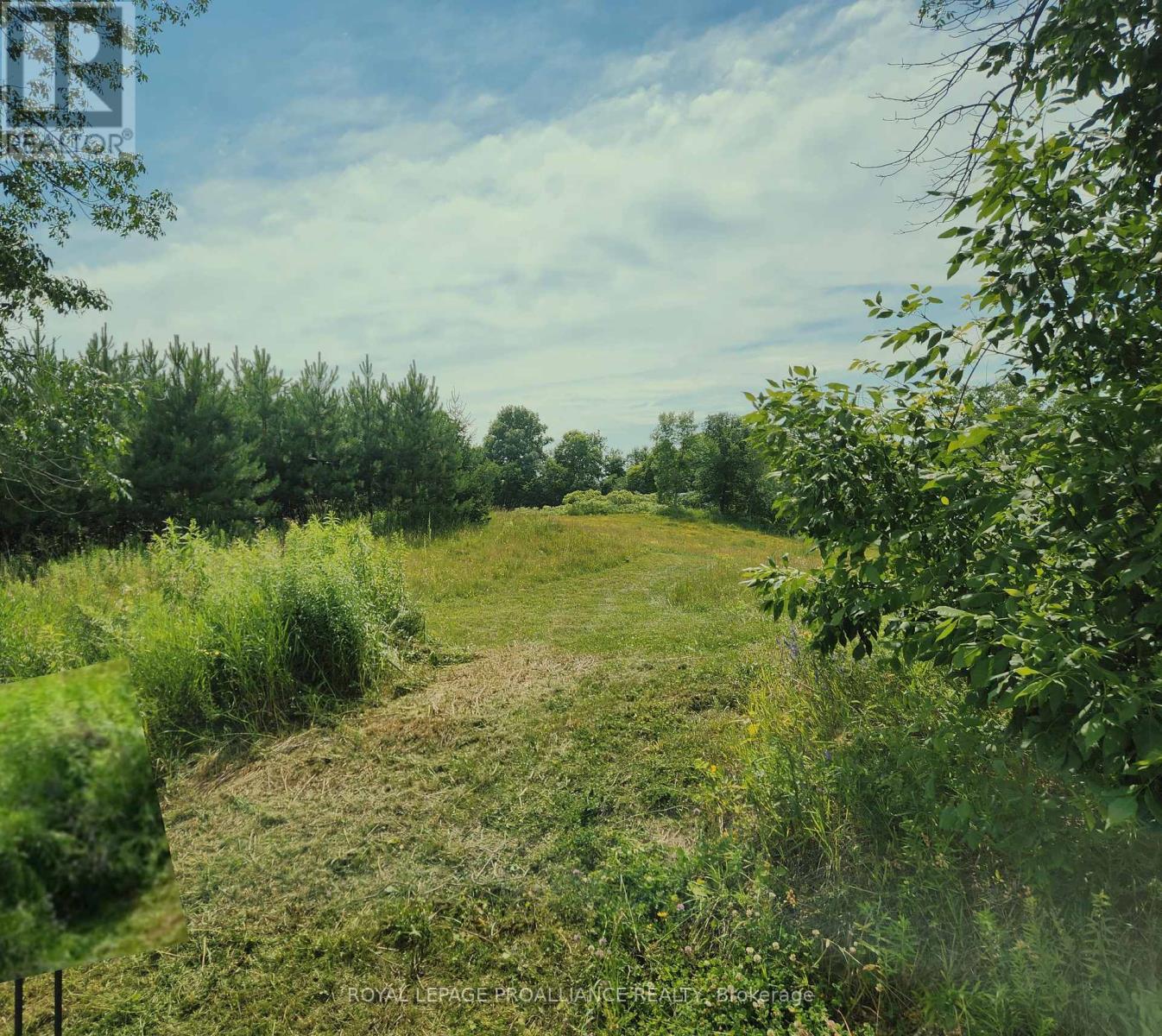 0 Old Hungerford Road, Tweed, Ontario  K0K 3J0 - Photo 3 - X8476708