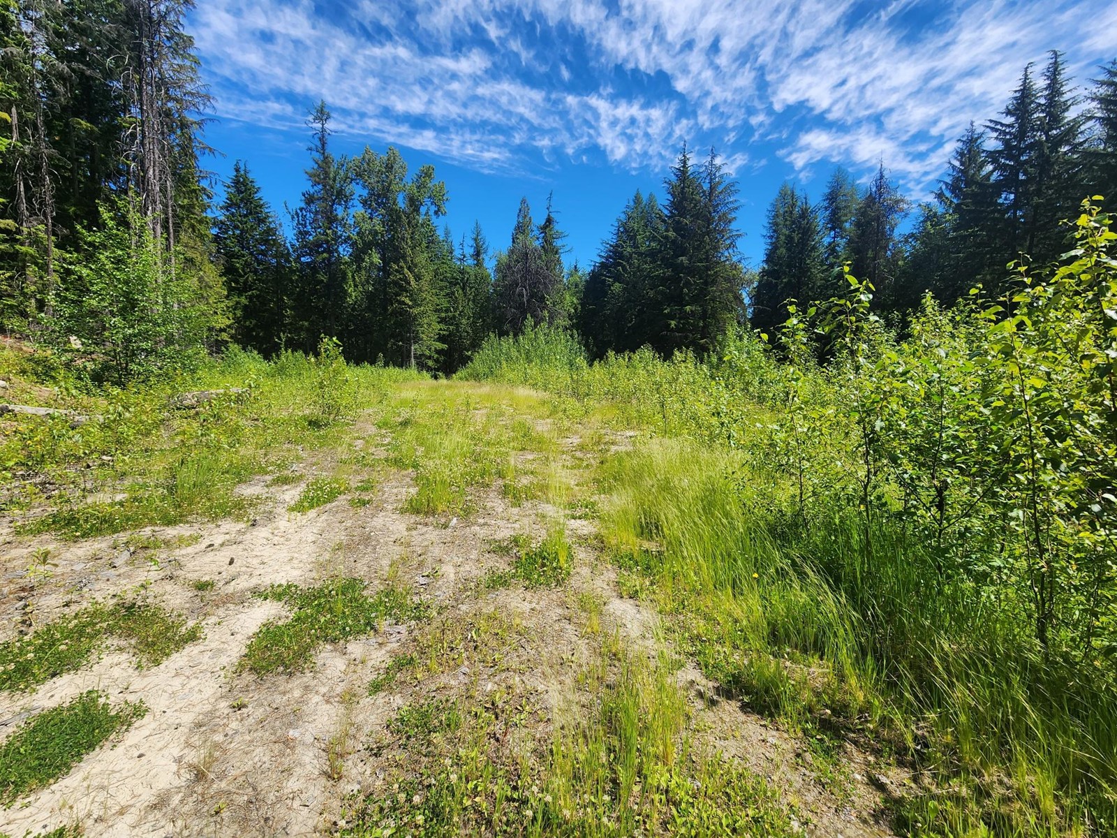 4248 Casino Road, Trail, British Columbia  V1R 4X3 - Photo 10 - 2477958