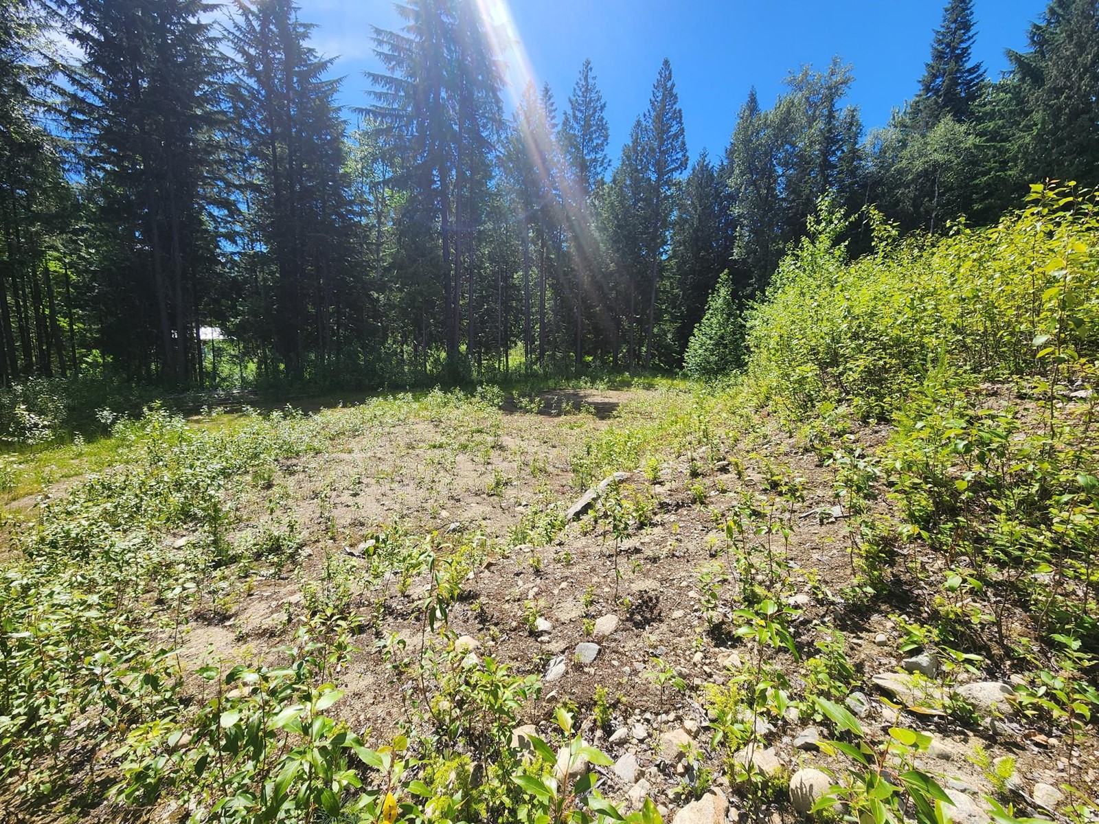 4248 Casino Road, Trail, British Columbia  V1R 4X3 - Photo 16 - 2477958