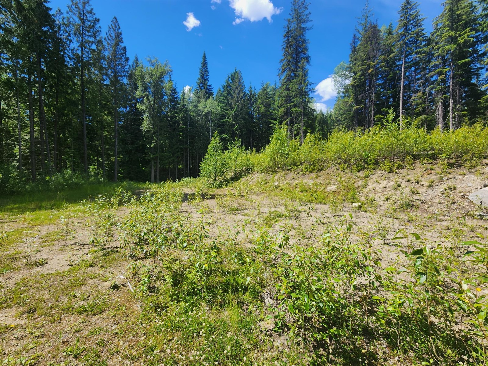 4248 Casino Road, Trail, British Columbia  V1R 4X3 - Photo 17 - 2477958