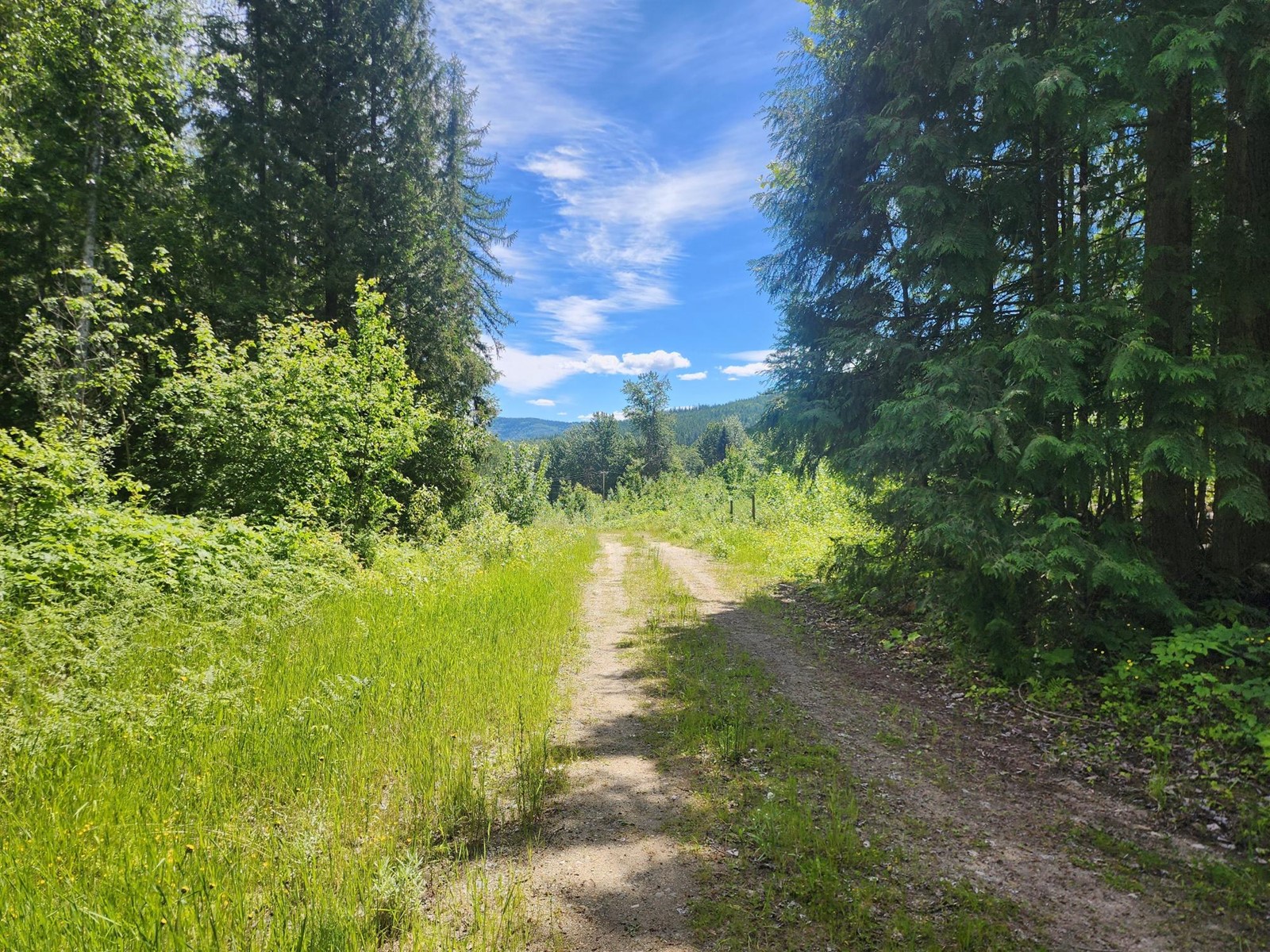 4248 Casino Road, Trail, British Columbia  V1R 4X3 - Photo 2 - 2477958