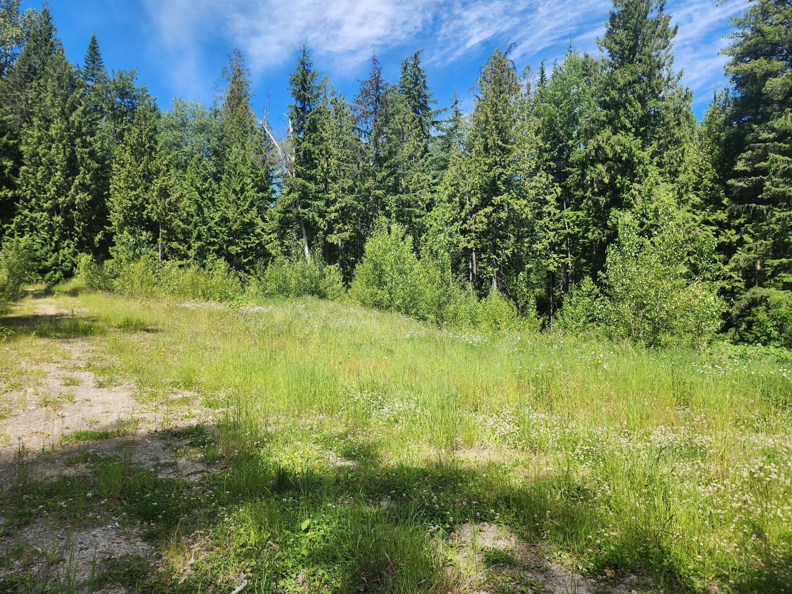 4248 Casino Road, Trail, British Columbia  V1R 4X3 - Photo 21 - 2477958