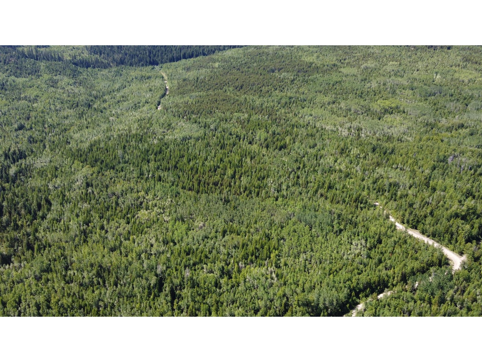 4248 Casino Road, Trail, British Columbia  V1R 4X3 - Photo 26 - 2477958