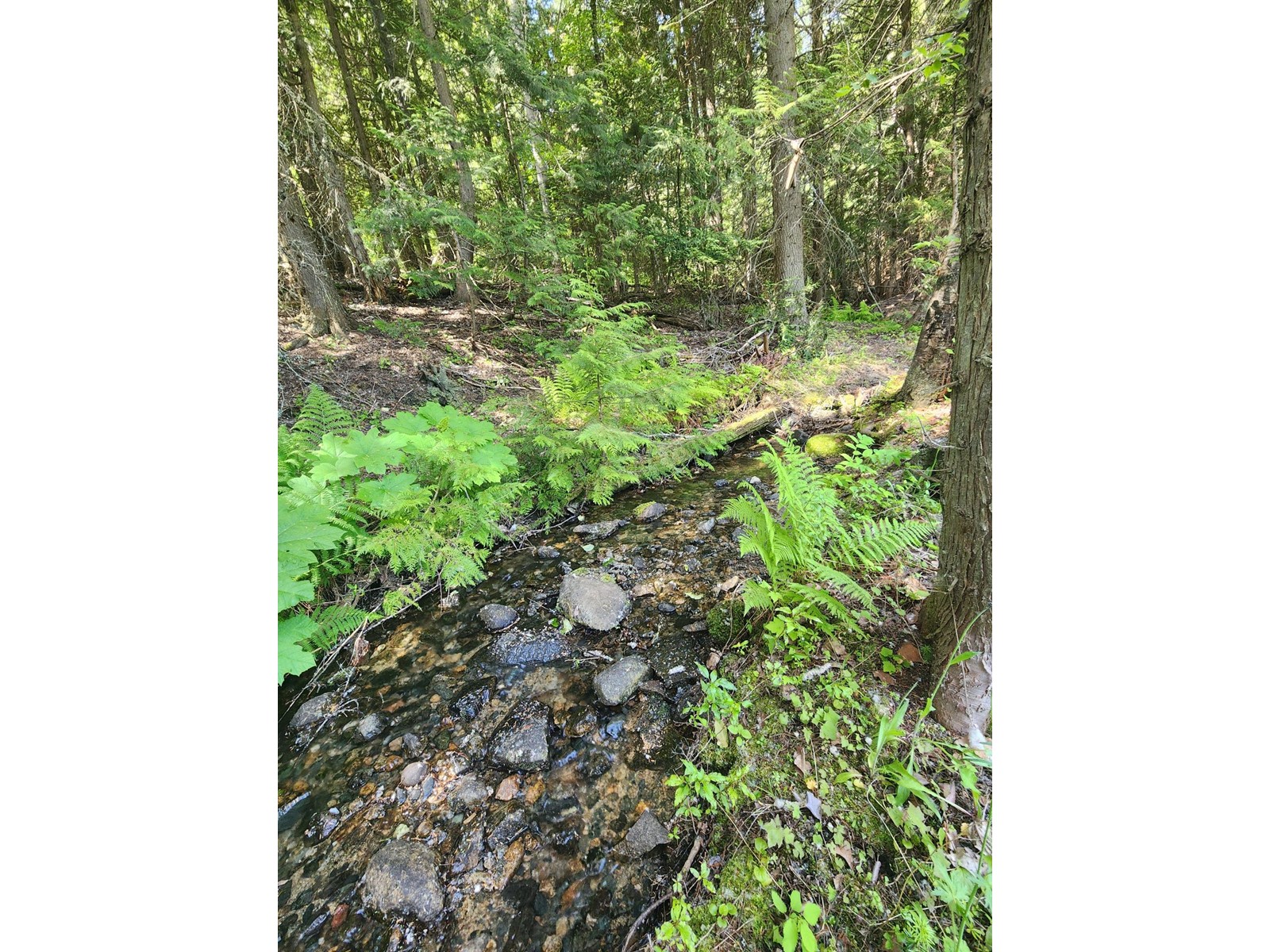 4248 Casino Road, Trail, British Columbia  V1R 4X3 - Photo 8 - 2477958