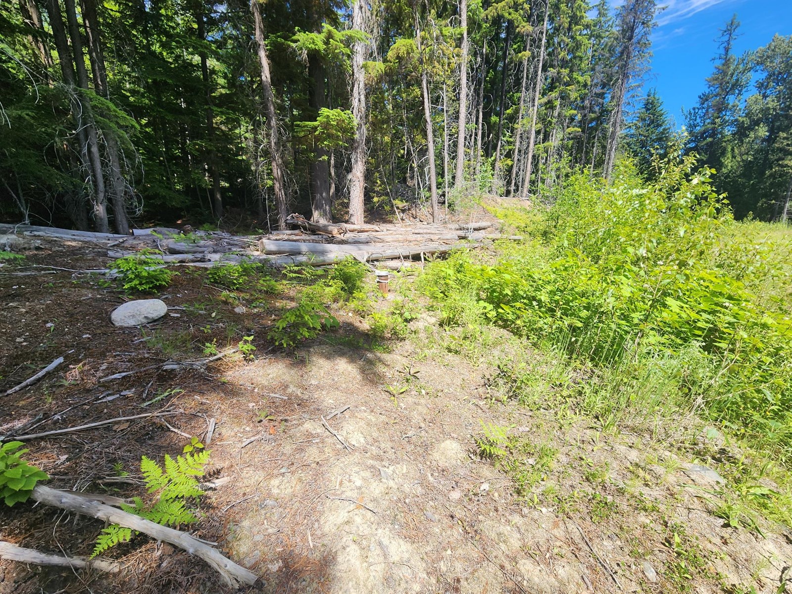 4248 Casino Road, Trail, British Columbia  V1R 4X3 - Photo 9 - 2477958