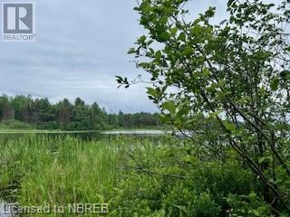 Lot 5 Georges Road, Bonfield, Ontario  P0H 1E0 - Photo 2 - 40612318