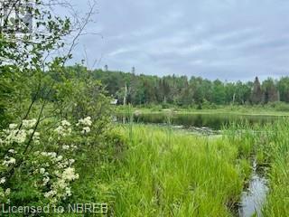 Lot 5 Georges Road, Bonfield, Ontario  P0H 1E0 - Photo 3 - 40612318