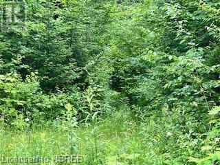 Lot 5 Georges Road, Bonfield, Ontario  P0H 1E0 - Photo 4 - 40612318