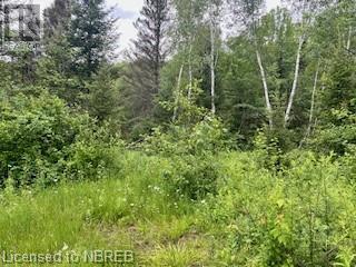 Lot 5 Georges Road, Bonfield, Ontario  P0H 1E0 - Photo 6 - 40612318