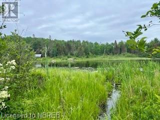 Lot 5 Georges Road, Bonfield, Ontario  P0H 1E0 - Photo 1 - 40612318