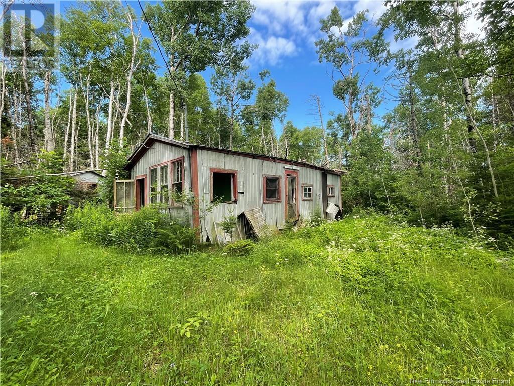 755 Cape Road, Newburg, New Brunswick  E7N 1W5 - Photo 11 - NB096399