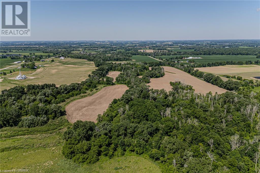 56 Highway #53 Highway, Burford, Ontario  N0E 1A0 - Photo 24 - 40612059