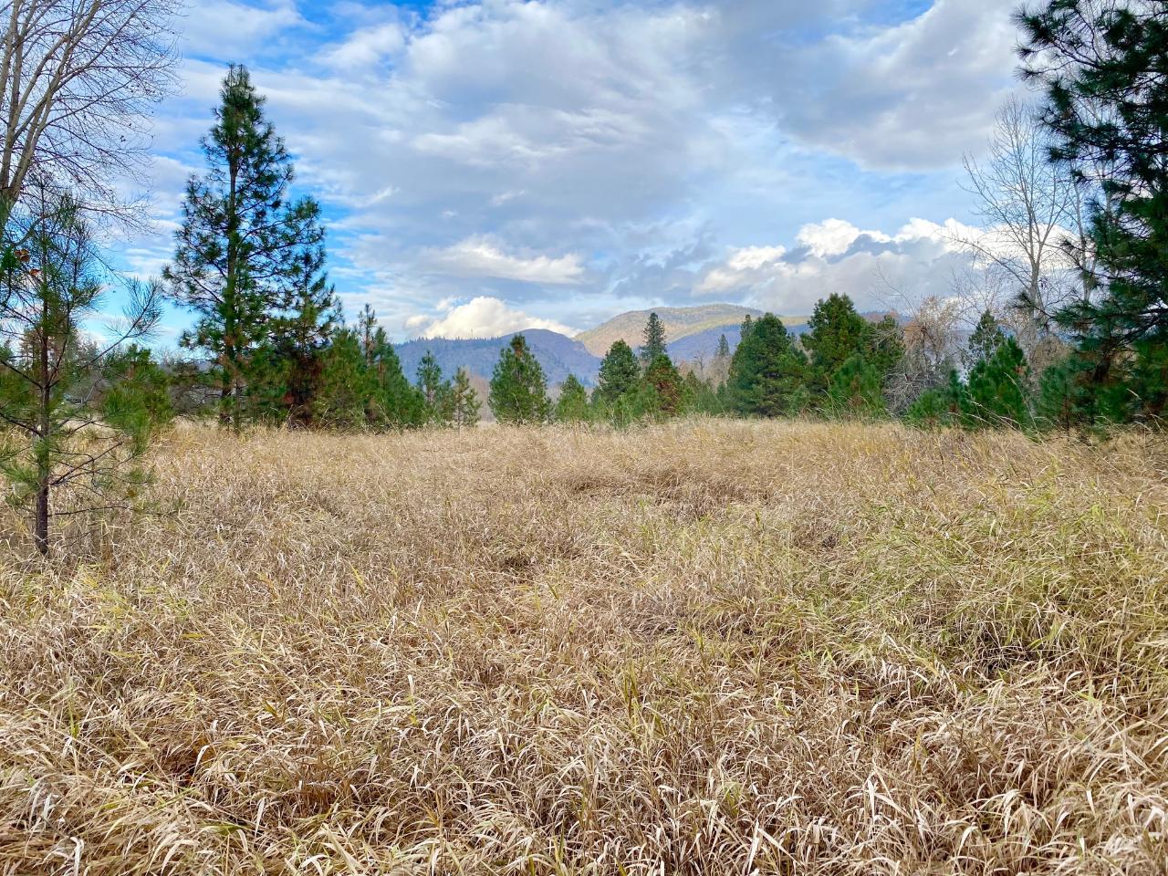 2338 Kettle River Drive, Grand Forks, British Columbia  V0H 1H0 - Photo 20 - 2478037