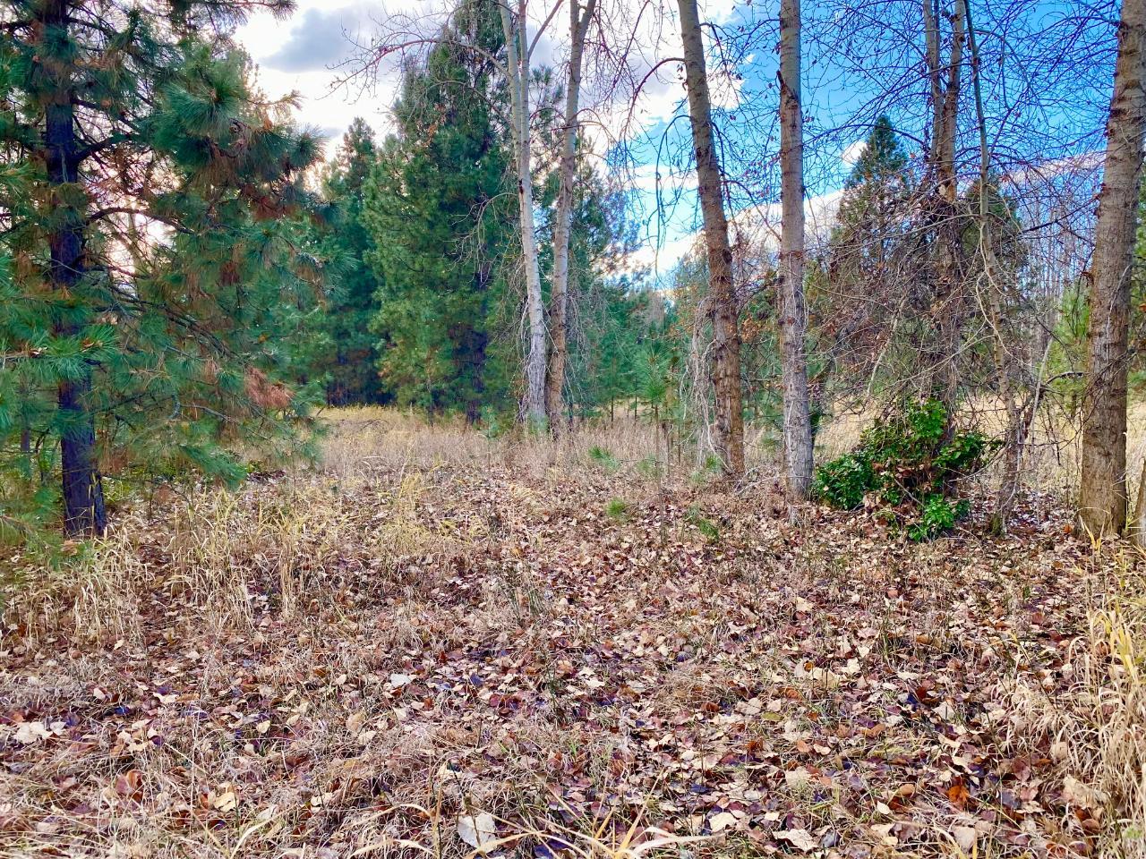 2338 Kettle River Drive, Grand Forks, British Columbia  V0H 1H0 - Photo 11 - 2478037