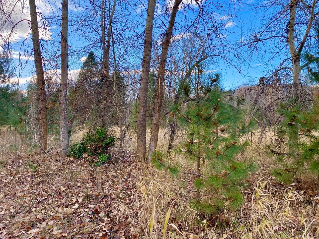 2338 Kettle River Drive, Grand Forks, British Columbia  V0H 1H0 - Photo 12 - 2478037