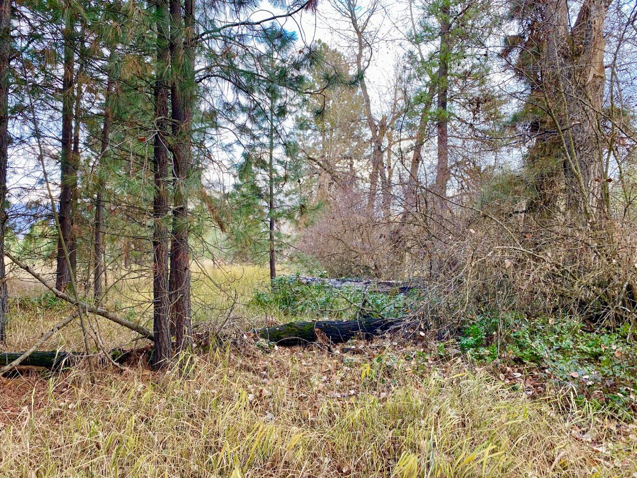 2338 Kettle River Drive, Grand Forks, British Columbia  V0H 1H0 - Photo 19 - 2478037