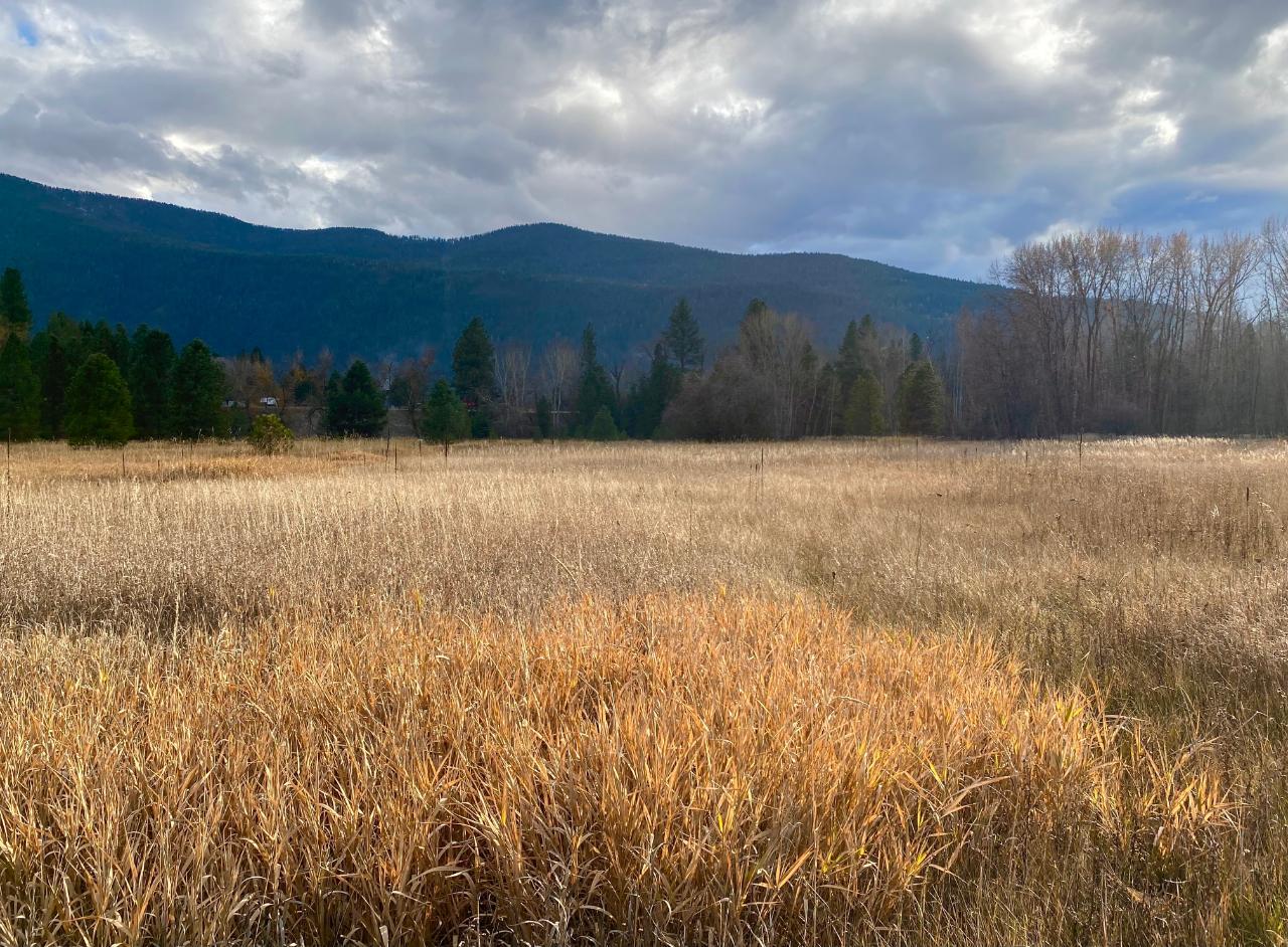 2338 Kettle River Drive, Grand Forks, British Columbia  V0H 1H0 - Photo 22 - 2478037