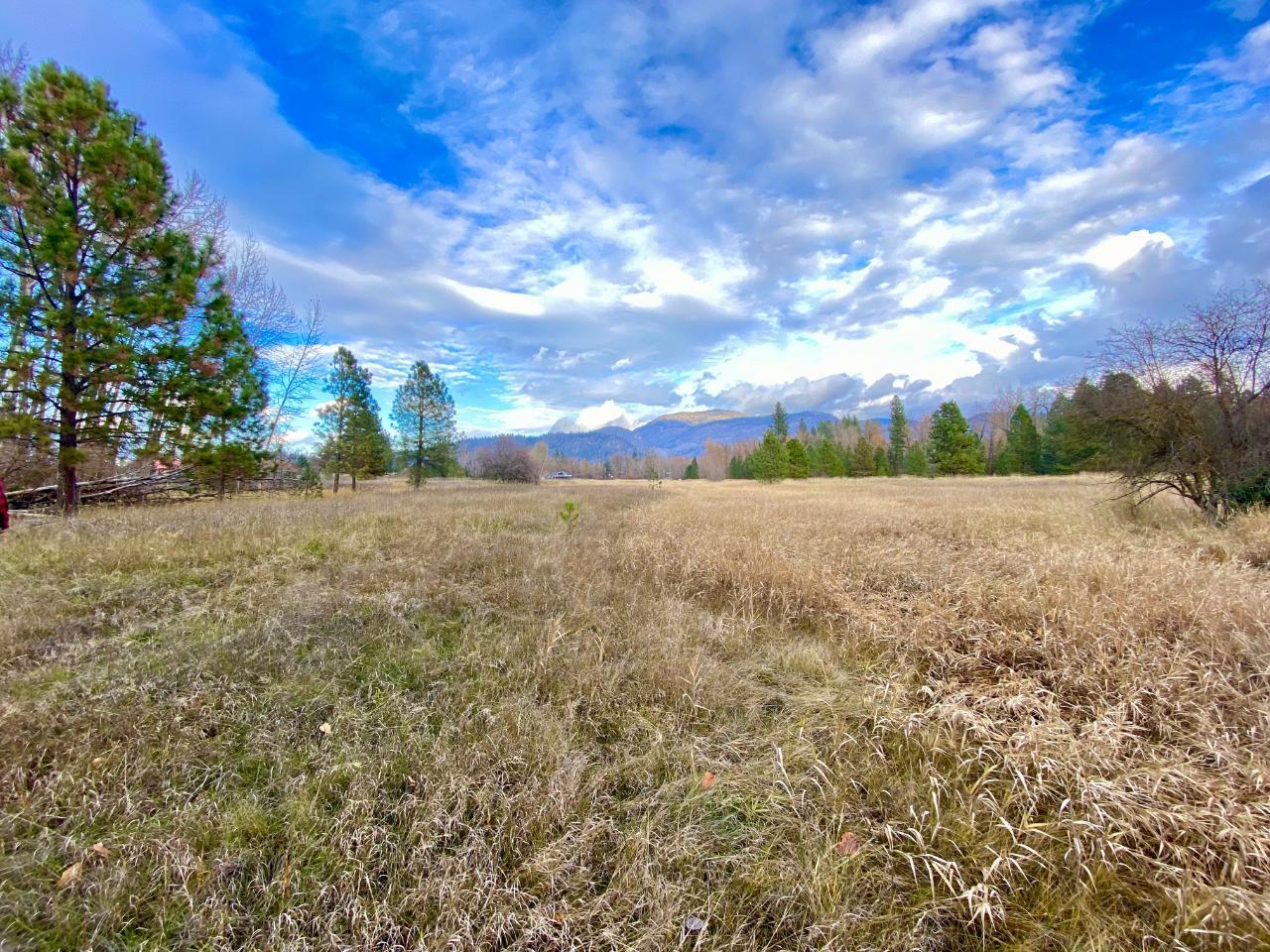 2338 Kettle River Drive, Grand Forks, British Columbia  V0H 1H0 - Photo 3 - 2478037
