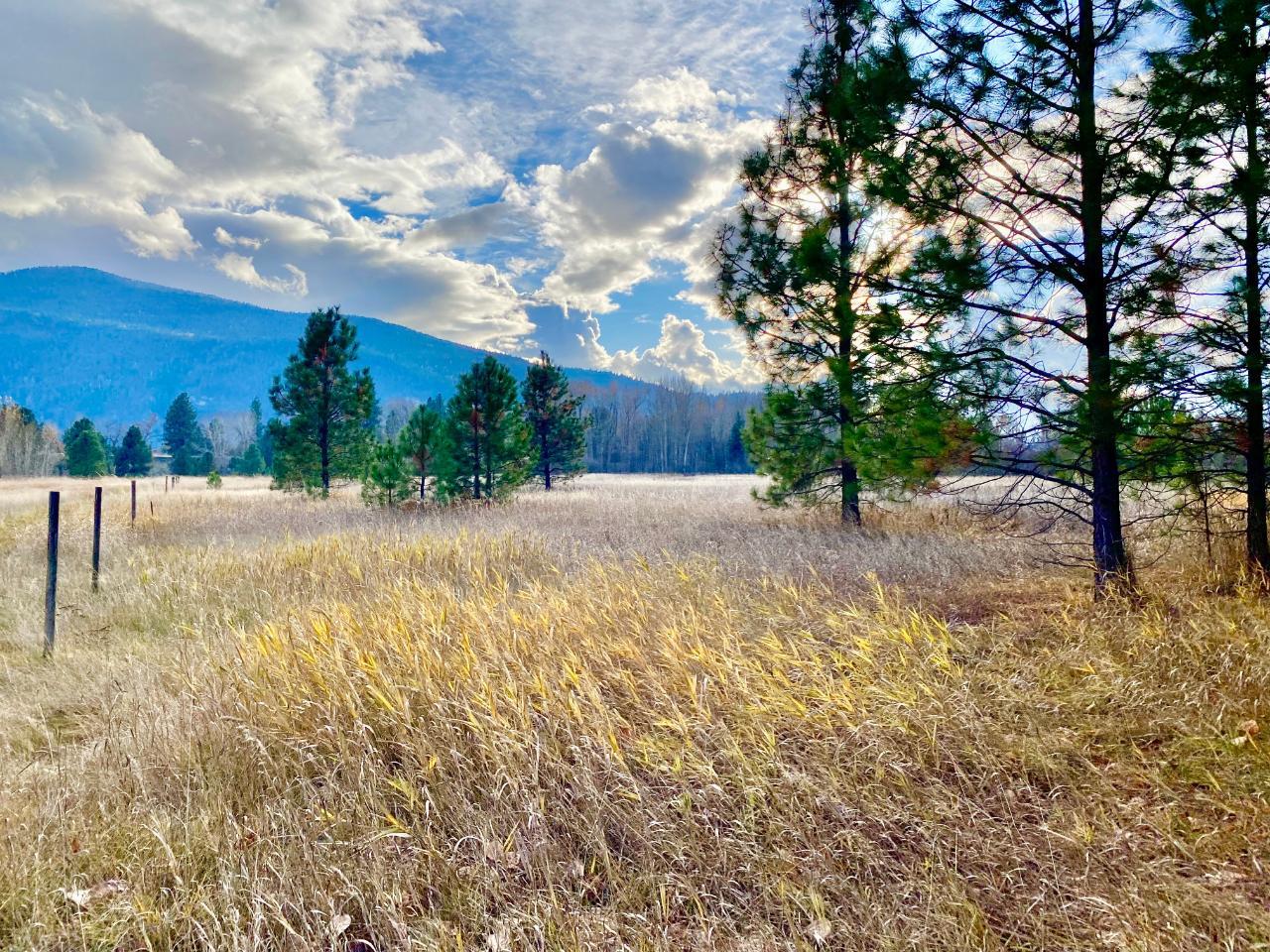 2338 Kettle River Drive, Grand Forks, British Columbia  V0H 1H0 - Photo 9 - 2478037