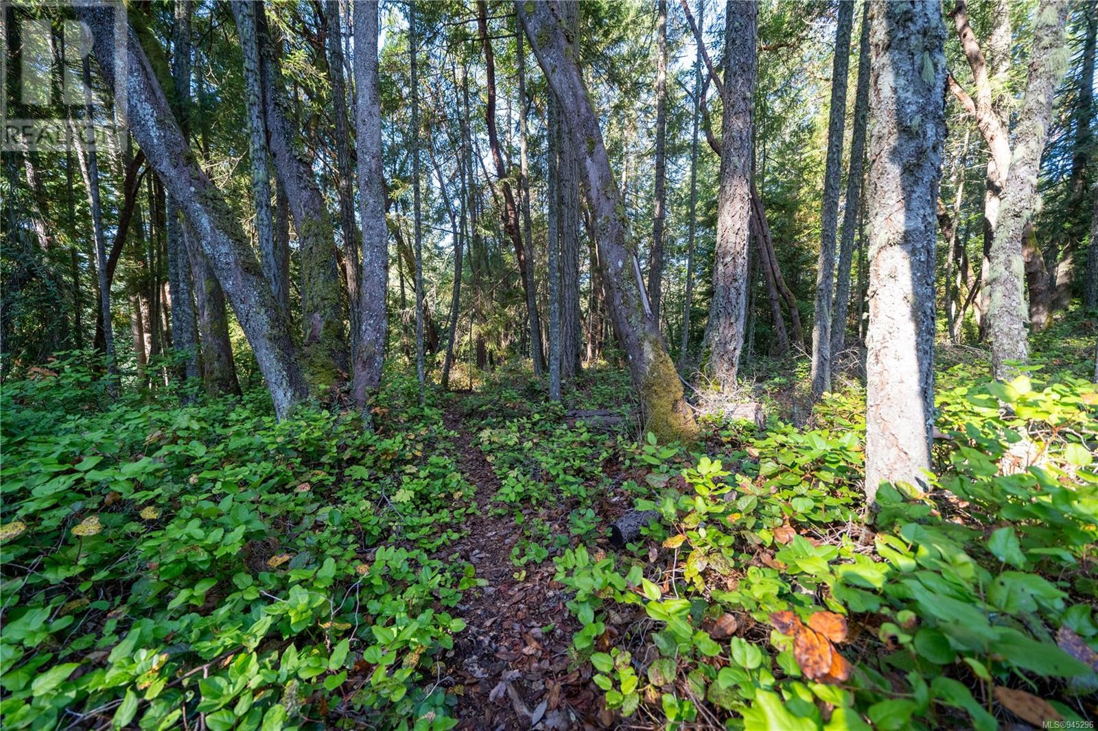 434 Meadow Valley Trail, Thetis Island, British Columbia  V0R 2Y0 - Photo 69 - 945296