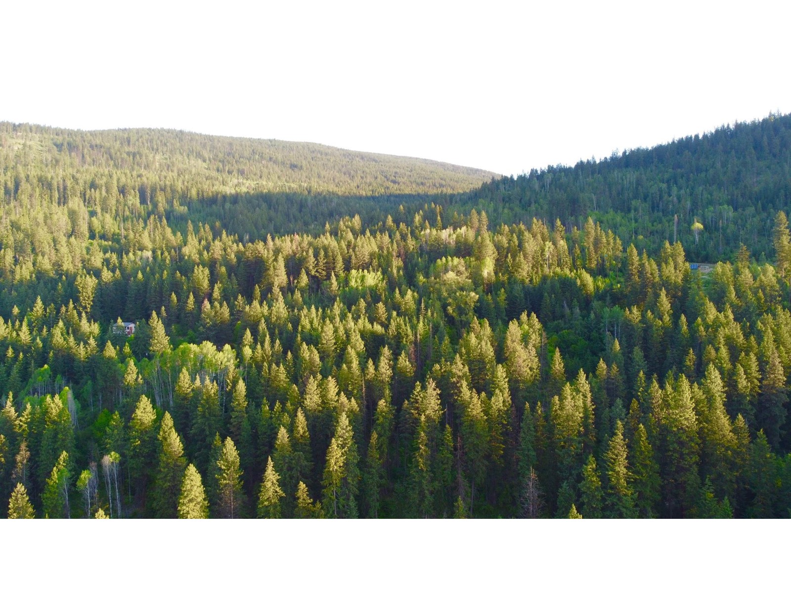 Lot 3 South Slocan Village Road, Nelson, British Columbia  V0G 2G3 - Photo 2 - 2478034