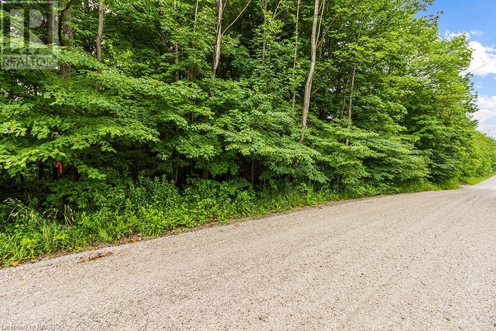 130109 Gleason Lake Road, Georgian Bluffs, Ontario  N0H 2T0 - Photo 29 - 40612613