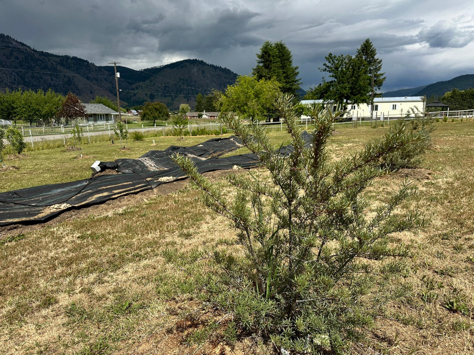 430 Atwood Road, Grand Forks, British Columbia  V0H 1H9 - Photo 61 - 2478036