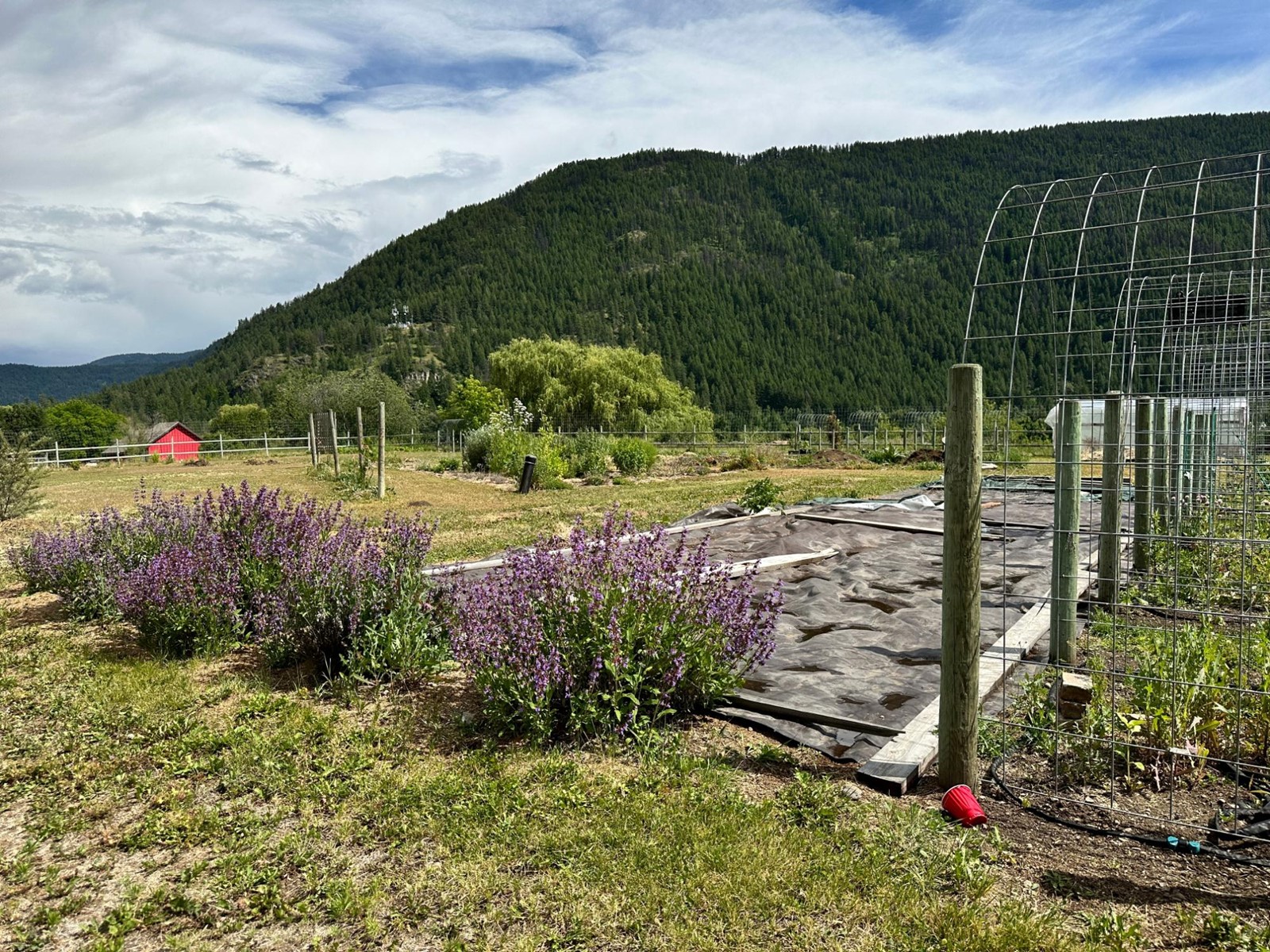 430 Atwood Road, Grand Forks, British Columbia  V0H 1H9 - Photo 62 - 2478036