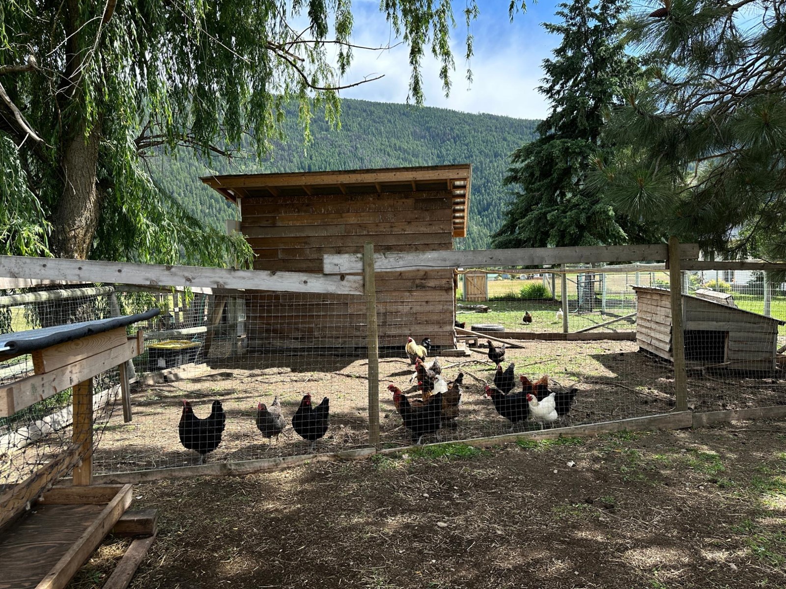 430 Atwood Road, Grand Forks, British Columbia  V0H 1H9 - Photo 72 - 2478036