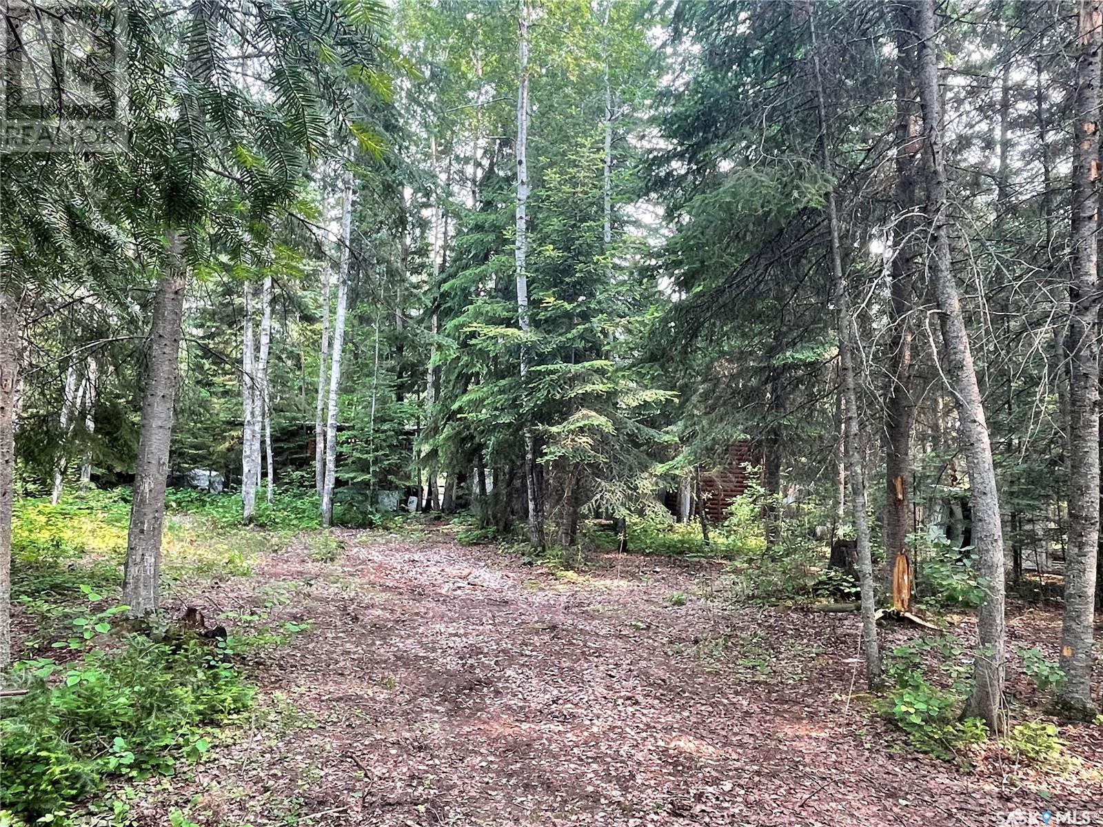 5 Delaronde Bay, Delaronde Lake, Saskatchewan  S0J 0K0 - Photo 4 - SK974934
