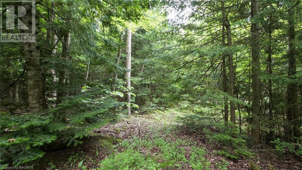 1477 Highway 6, South Bruce Peninsula, Ontario  N0H 1X0 - Photo 40 - 40612052