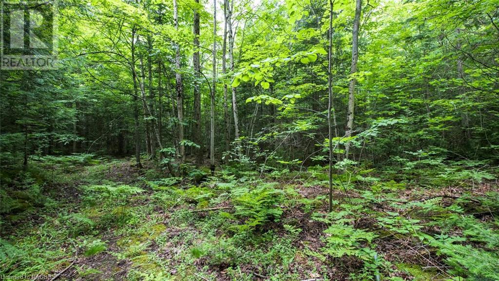 1477 Highway 6, South Bruce Peninsula, Ontario  N0H 1X0 - Photo 41 - 40612052