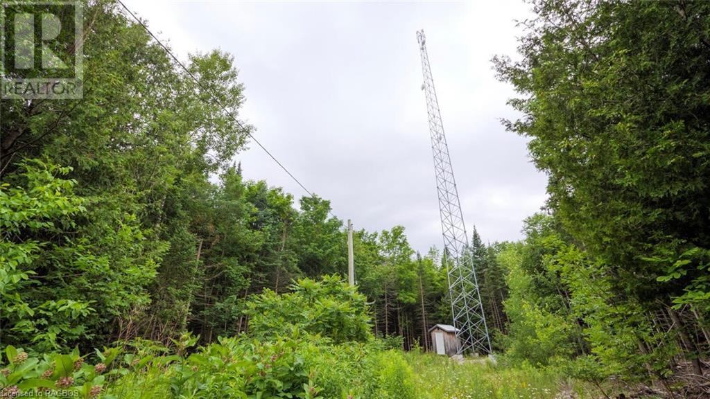 1477 Highway 6, South Bruce Peninsula, Ontario  N0H 1X0 - Photo 44 - 40612052