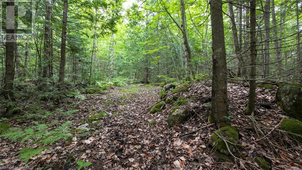 1477 Highway 6, South Bruce Peninsula, Ontario  N0H 1X0 - Photo 45 - 40612052