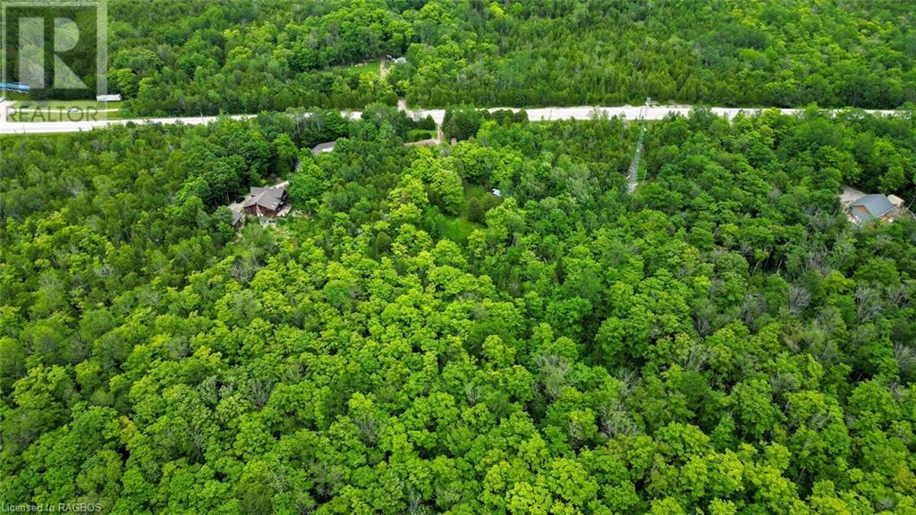 1477 Highway 6, South Bruce Peninsula, Ontario  N0H 1X0 - Photo 47 - 40612052